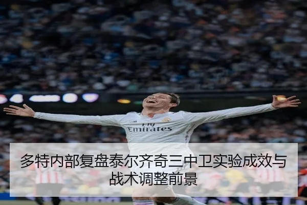 多特内部复盘泰尔齐奇三中卫实验成效与战术调整前景