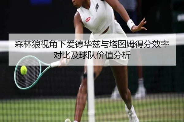 森林狼视角下爱德华兹与塔图姆得分效率对比及球队价值分析